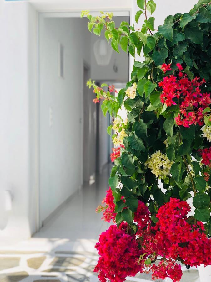 Taki'S Guests Bed & Breakfast Naxos City Luaran gambar